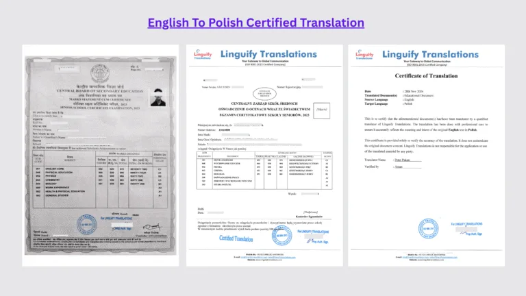 English to Polish Translation