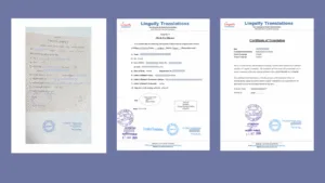 Marathi Birth Certificate Translation : For PR Visa & Immigration