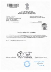 Document Translation