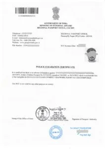 Document Translation
